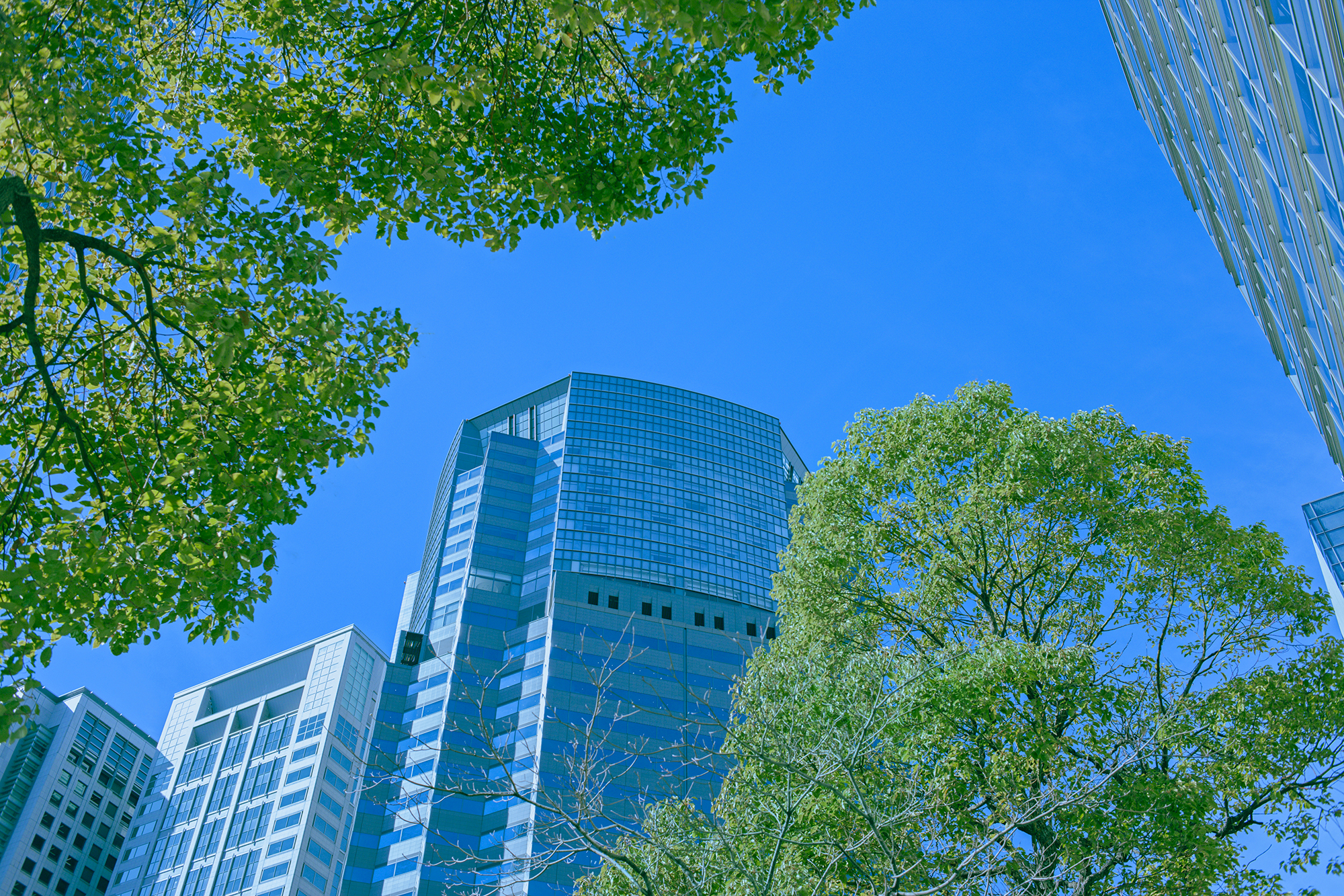 東京地判令和6年1月29日（学校法人東京医科大学事件）について、実務的なポイントや注意点を弁護士が解説します～大学教員による入試不正行為と退職金請求の可否～